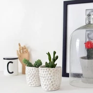 Agyag, gipsz, gyurma