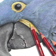 Pasztellceruzák Pasztellceruzák