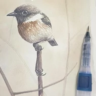 Vízzel elmosható grafitceruzák