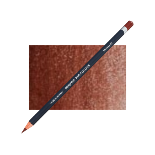 Derwent Procolour színes ceruza szerecsedió/nutmeg 65