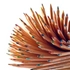 Kép 2/3 - Derwent LIGHTFAST színes ceruza égetett sziéna/burnt sienna